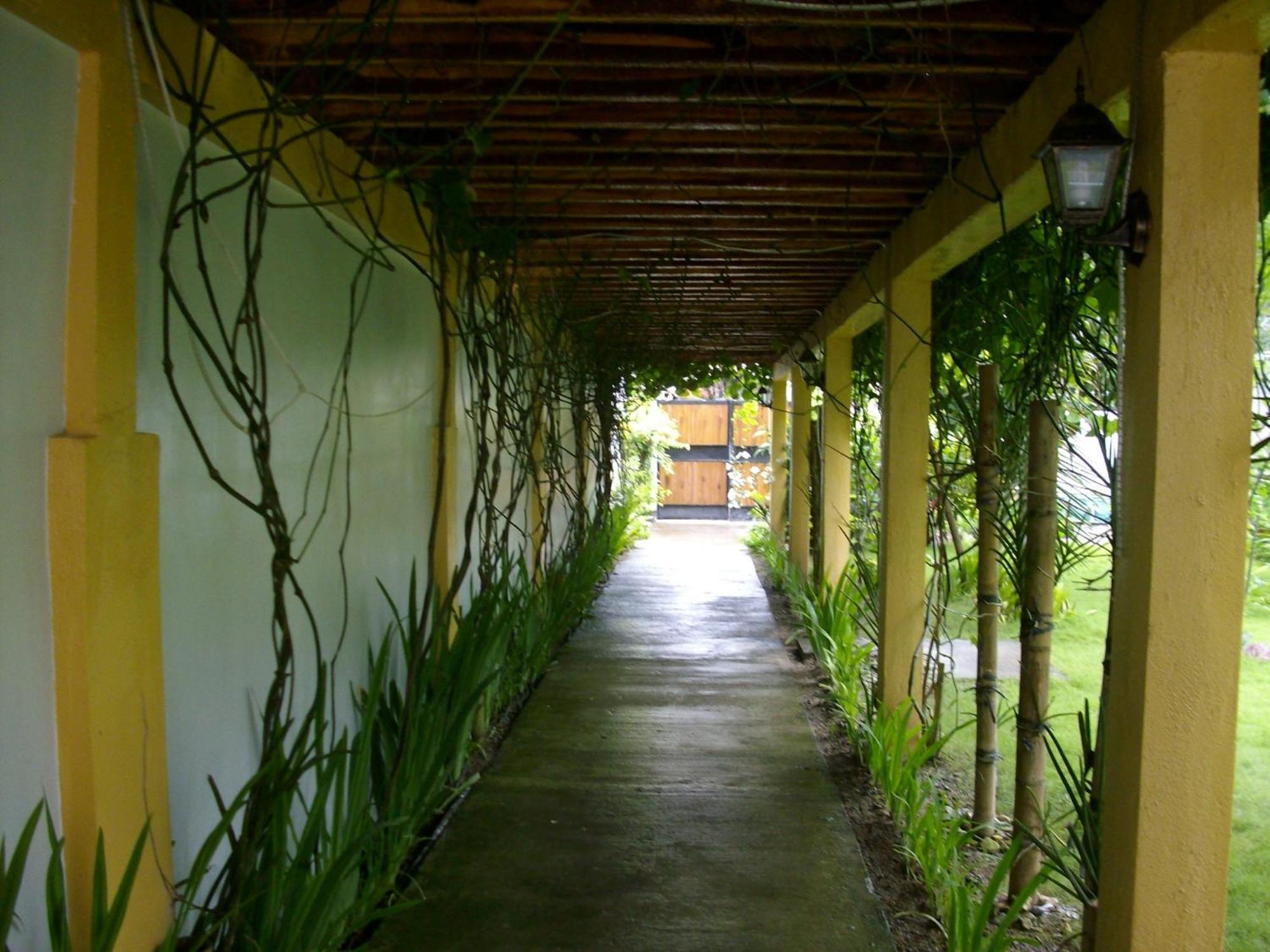 Greenyard Inn Manoc-Manoc Extérieur photo